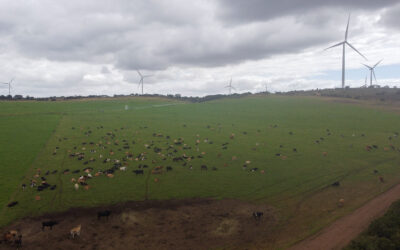 Renewable energy, not gas, is the answer to South Africa’s long-term energy security