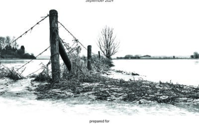 Directors Duties and Liability for Climate Risk under SA Law