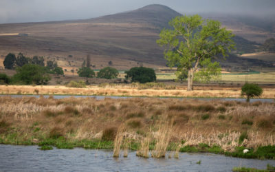 Landmark Win for Protected Areas and People: Mabola Protected Environment Saved from Coal Mining