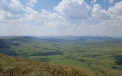 Mabola coalition in court again to safeguard Protected Area