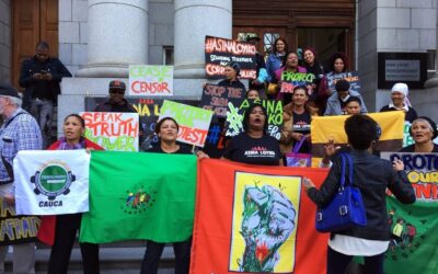 SLAPPs in Southern Africa: How human rights defenders are resisting corporate intimidation