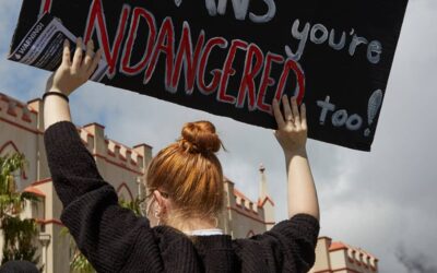 Environmental justice groups challenge gas plant approval, urge government to heed climate risks of gas