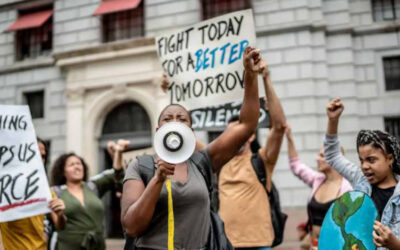 Shareholder Activism: Holding companies accountable