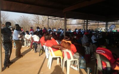 Civil society coalition appeals approval for Musina-Makhado Special Economic Zone and demands DFFE intervention