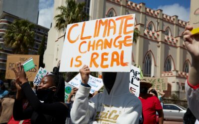 South African Youth-led Climate Case Gains Momentum as Minister of Electricity Is Joined