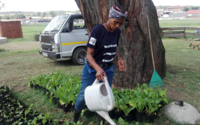 Meet environmental activist Nelly Nkosi